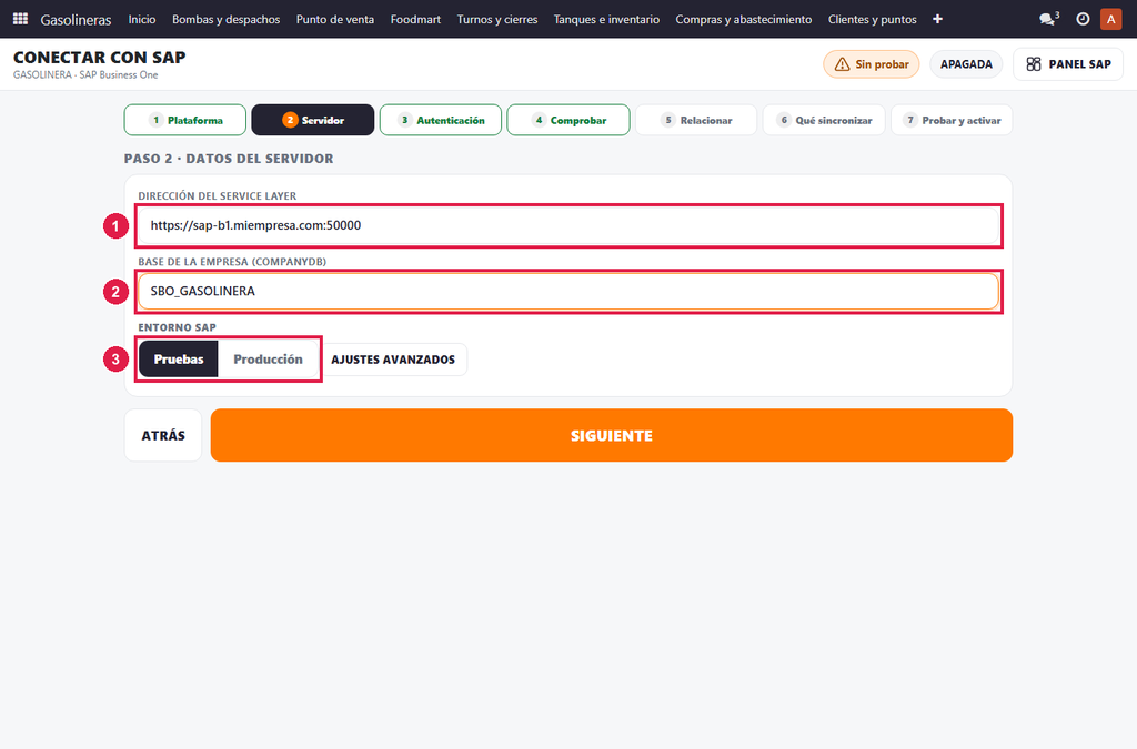 Paso 2 - Escriba el servidor - SAP Business One: datos que necesita y conexión