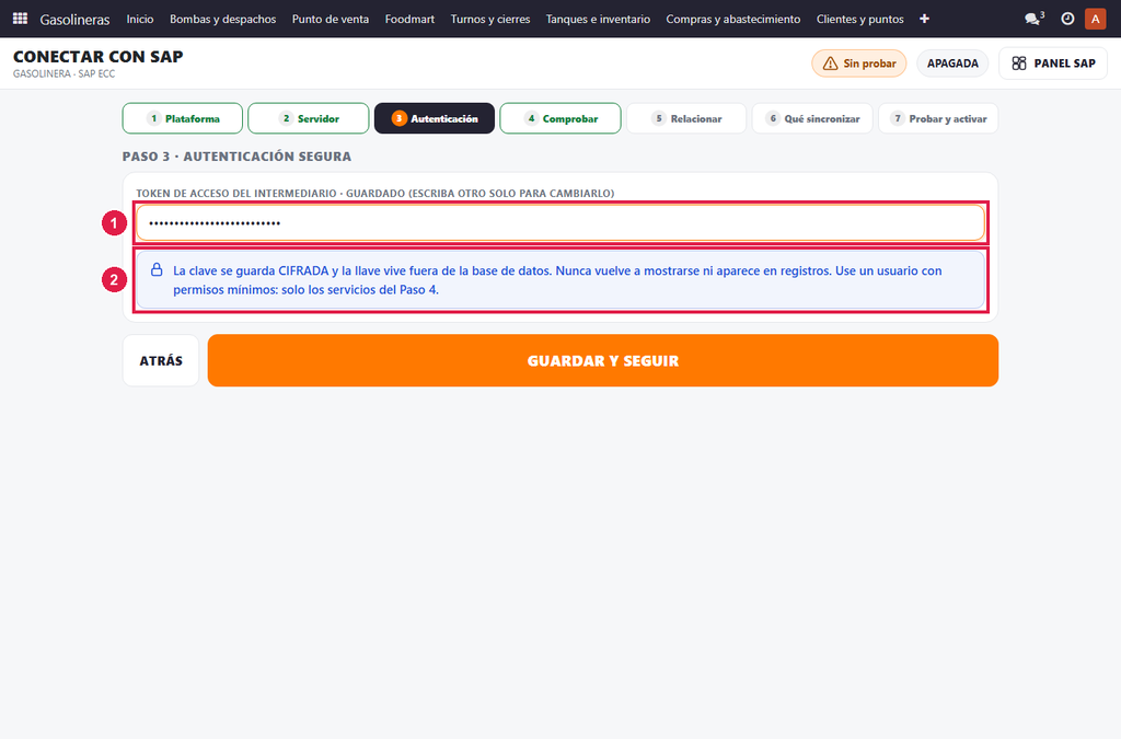Paso 3 - Escriba el token - SAP ECC: datos que necesita y conexión