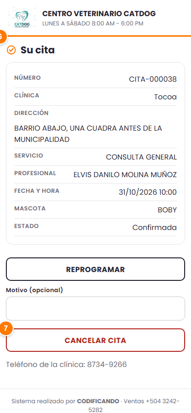 Paso 3 - Su enlace privado - Cómo reserva un cliente por el enlace público